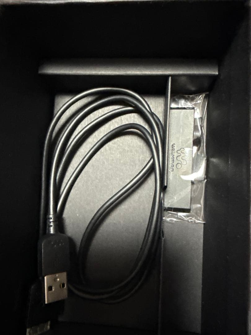 Sony Digital Audio Player Nw-Zx1