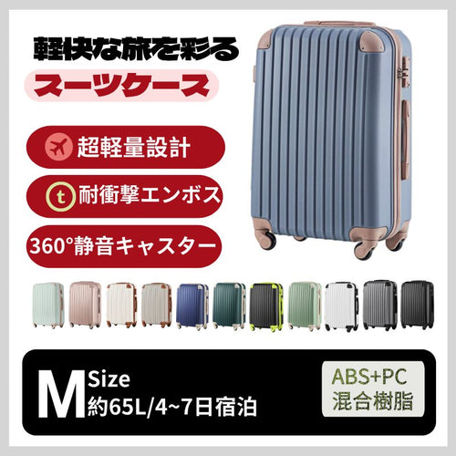 Carry Case M Tsa 4 -7 1