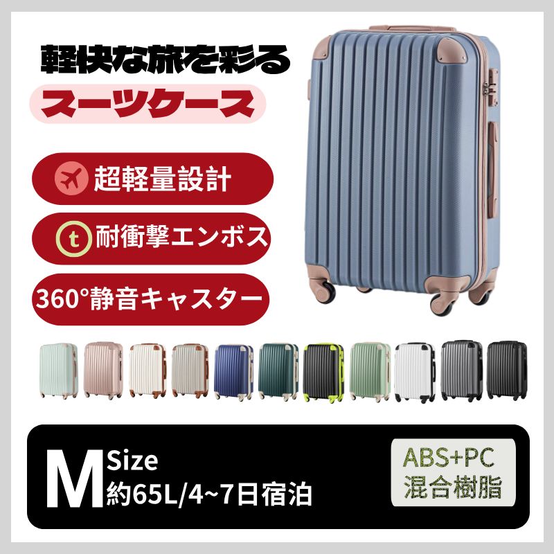 Carry Case M Tsa 4 -7 1
