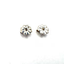 Tiffany Earrings (For Both Ears) Tiffany&Co. /Sv/1.5G Sv 471