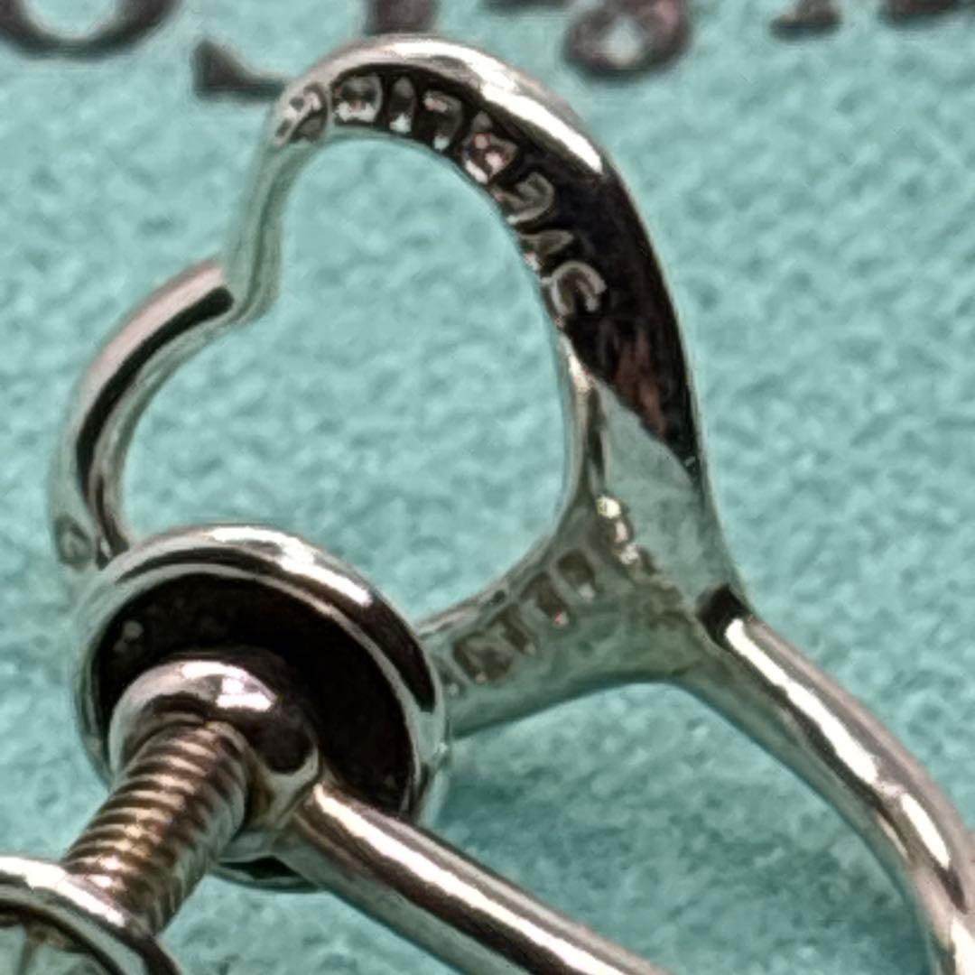 Tiffany Clip-On Earrings Sv925