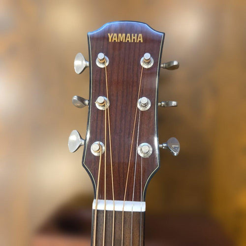 Yamaha Acoustic Guitars Csf-60 S.Case