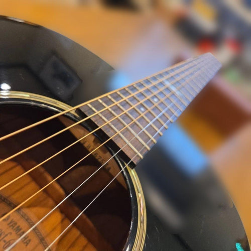 Yamaha Acoustic Guitars Csf-60 S.Case