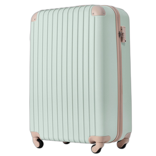 Carry Case 6 25 S 2 3 Tsa