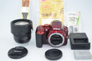 Digital Slr Nikon D5500