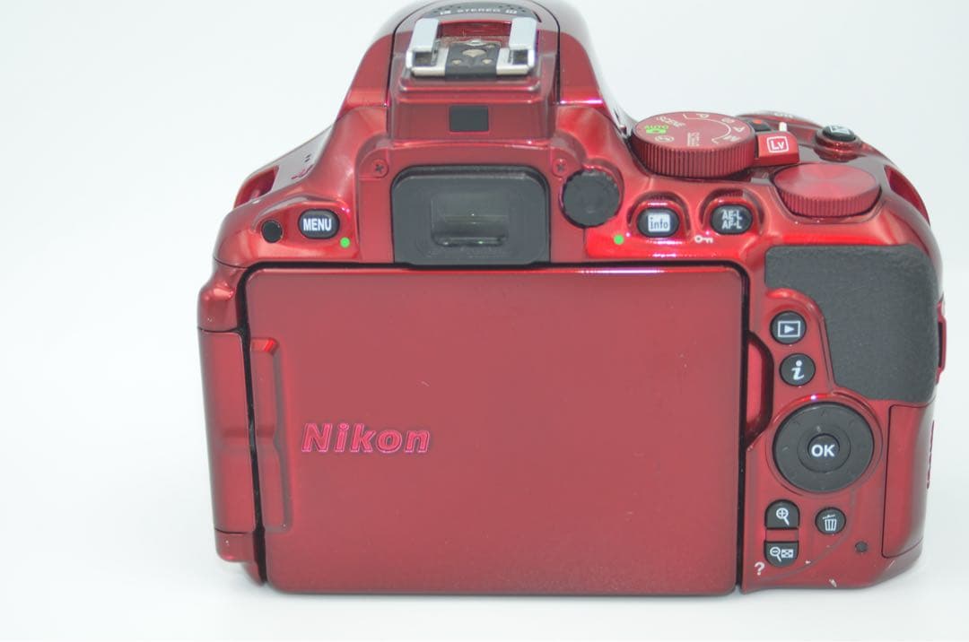 Digital Slr Nikon D5500