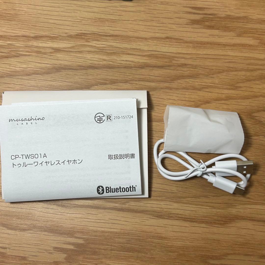Onkyo Wireless Earphones