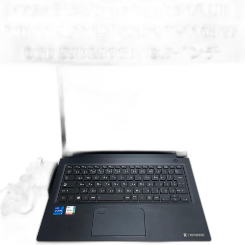 Windows Notebook Body Dynabook Sz/Lub I7-1165G7 8Gb Ssd256G