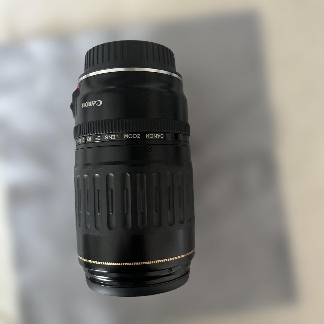 Canon Lens (Zoom) Ef 100-300