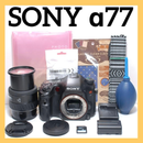 Sony Digital Slr 77
