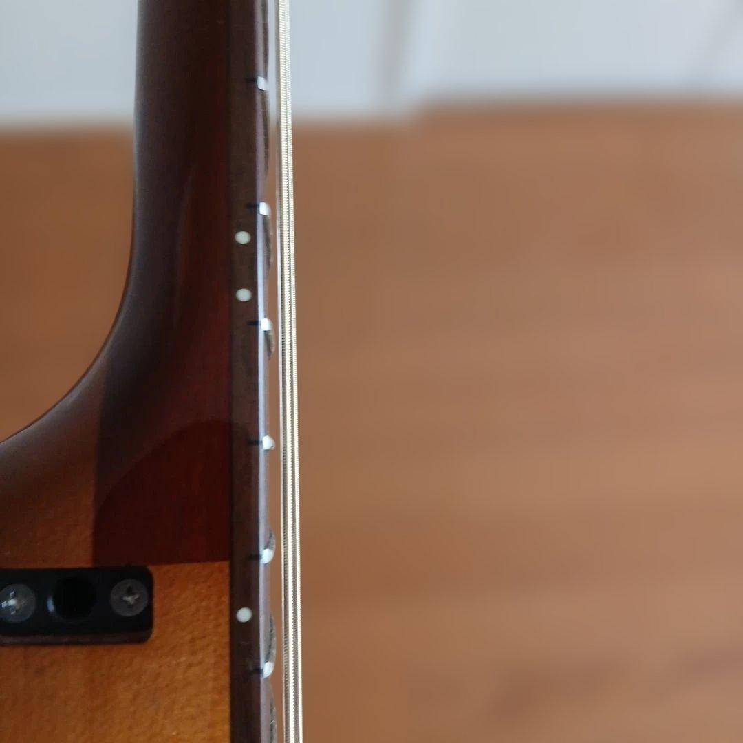 Yamaha Acoustic Guitars Slg100S