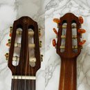 Yamaha Electric Guitars Slg-100N