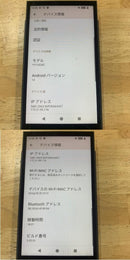 Others Sony Walkman Nw-Zx707 098