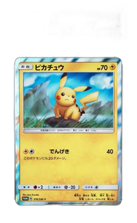 Pokemon Card Game 206 Psa10 376/Sm-P