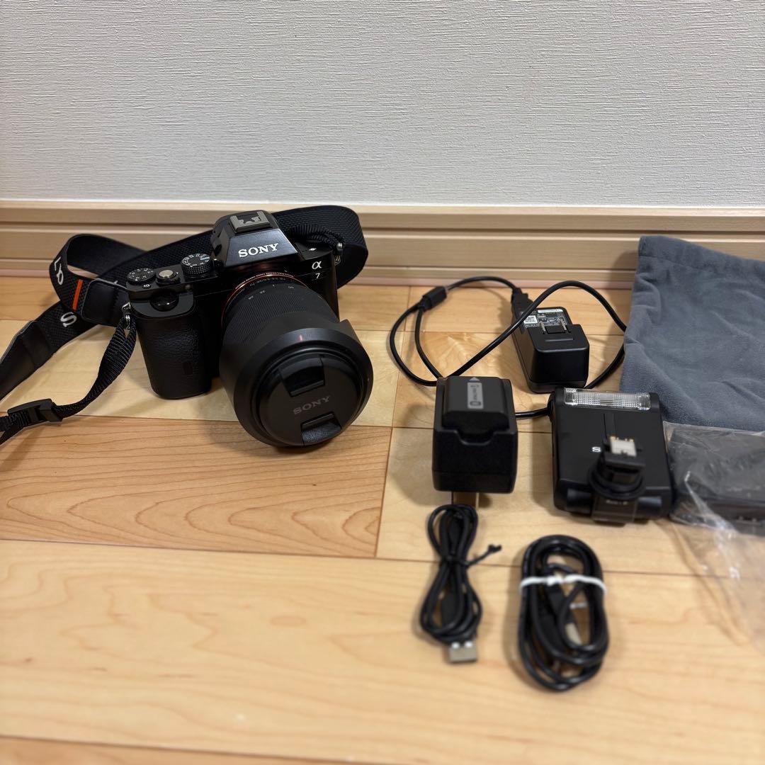 Sony Mirrorless Interchangeable Lens Cameras 365 7