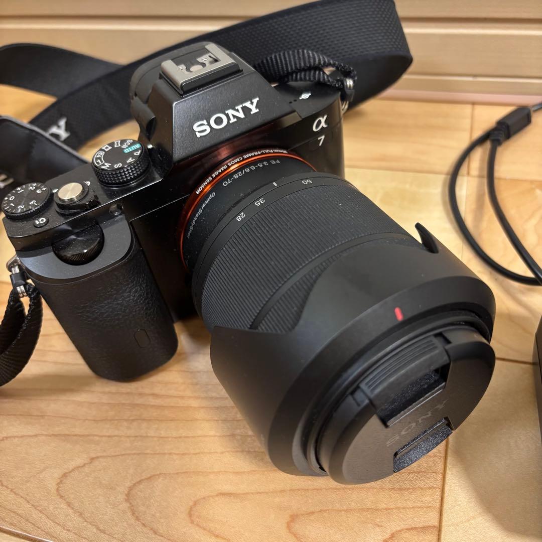 Sony Mirrorless Interchangeable Lens Cameras 365 7