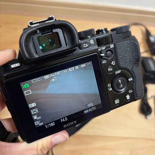Sony Mirrorless Interchangeable Lens Cameras 365 7