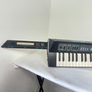 Other Yamaha Kx5 2