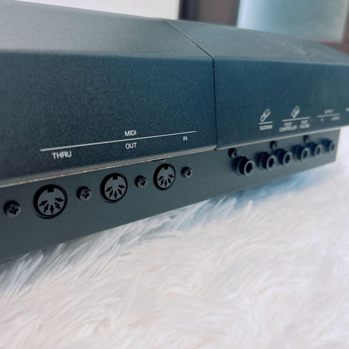 Yamaha Others Qs300 Ok Xg