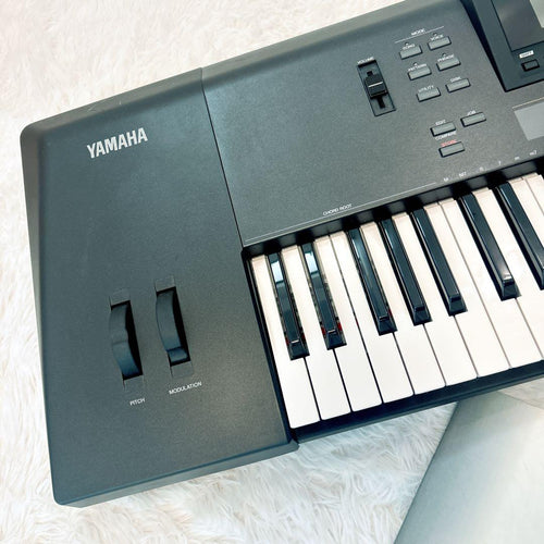Yamaha Others Qs300 Ok Xg