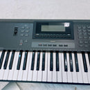 Yamaha Others Qs300 Ok Xg