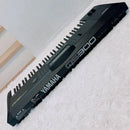 Yamaha Others Qs300 Ok Xg