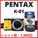 Pentax Mirrorless Interchangeable Lips D12[7559A]10 K-01 7 985