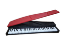 Keyboard Electronic Piano Korg Micro 61