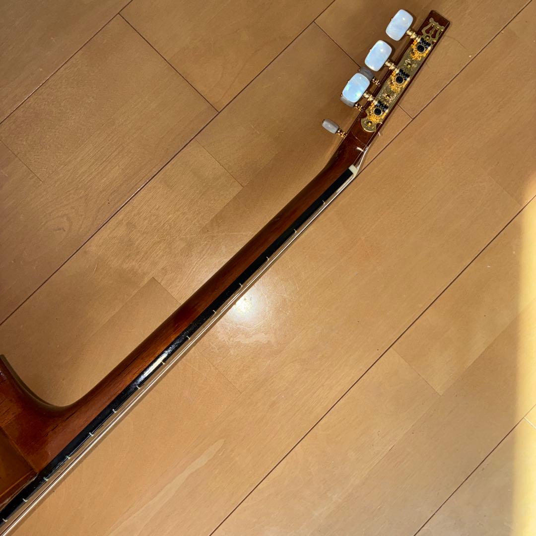 Classical Guitar 1983 No.30