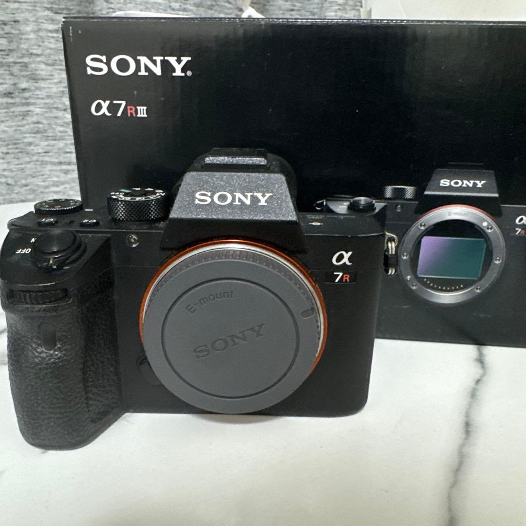 Sony Mirrorless Interchangeable Lens Cameras 7R Iii