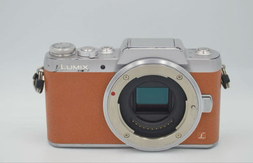 Mirrorless Interchangeable Lips Dmc-Gf7