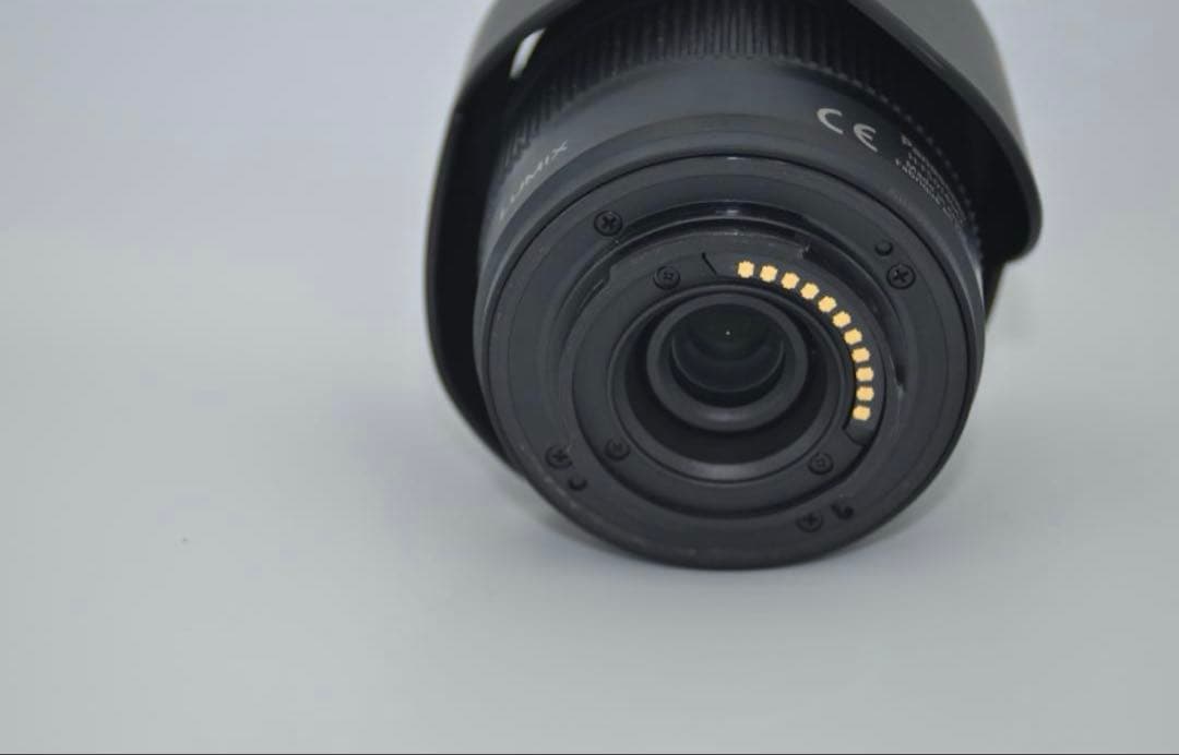 Mirrorless Interchangeable Lips Dmc-Gf7