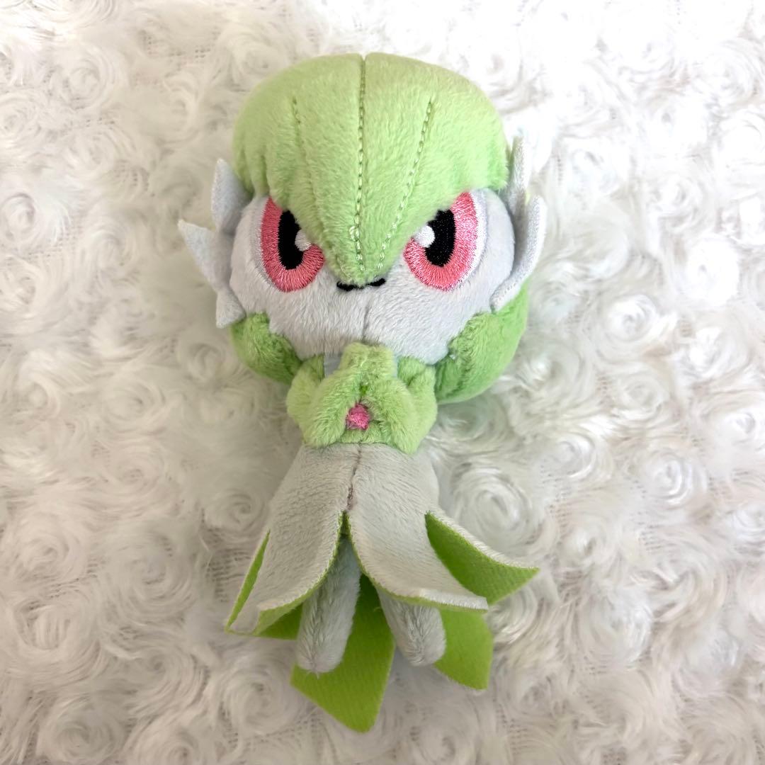 Stuffed Animals Mascots Pokemon Petit