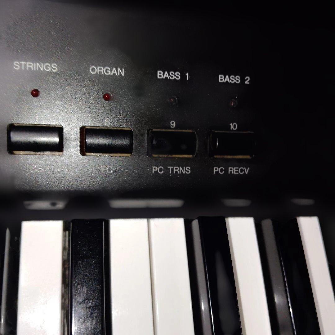 Keyboards Digital Pianos Yamaha P-100 88 25