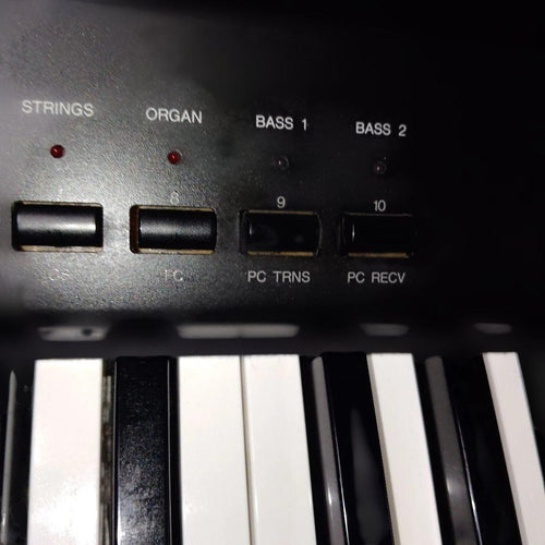 Keyboards Digital Pianos Yamaha P-100 88 25