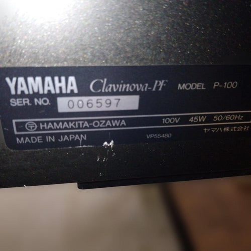 Keyboards Digital Pianos Yamaha P-100 88 25