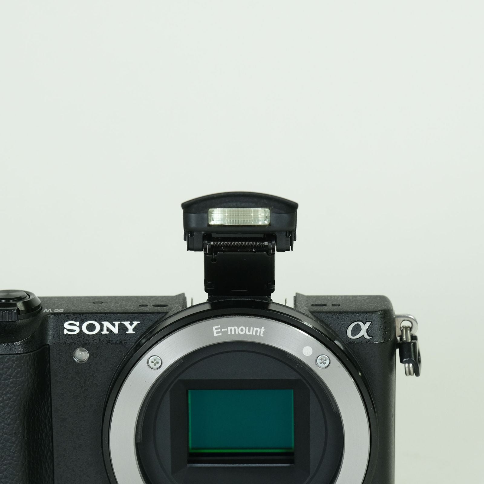 Sony Mirrorless Interchangeable Lips 1,800 5100 Ilce-5100 E