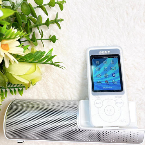 Sony Portable Players Sonywalkman Nw-S784