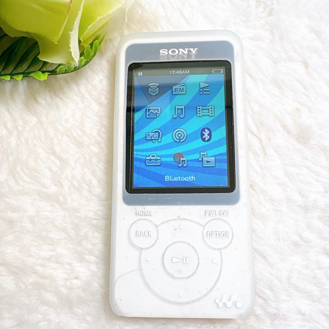 Sony Portable Players Sonywalkman Nw-S784