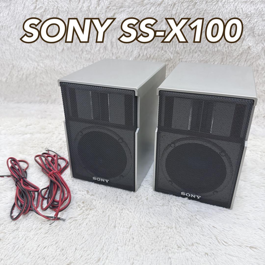 Sony Speaker Ss-X100