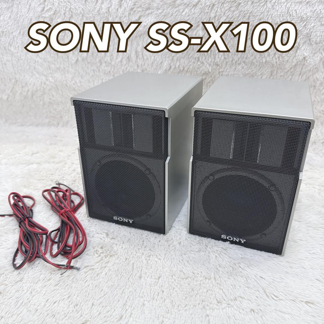 Sony Speaker Ss-X100