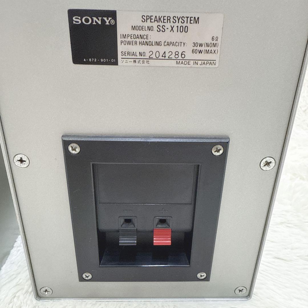 Sony Speaker Ss-X100