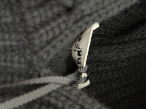 Celine Hoodies