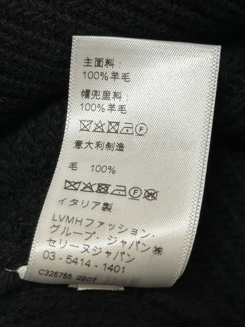 Celine Hoodies