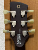 Yamaha Electric Guitars Rss20