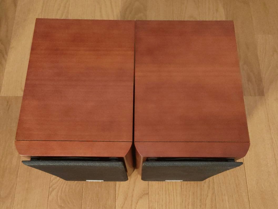 Onkyo Speaker D-S9Gx