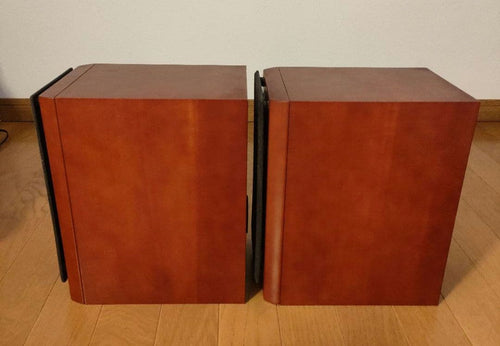 Onkyo Speaker D-S9Gx
