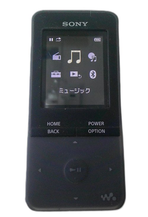 Sony Digital Audio Player 4Gb Nw-S313
