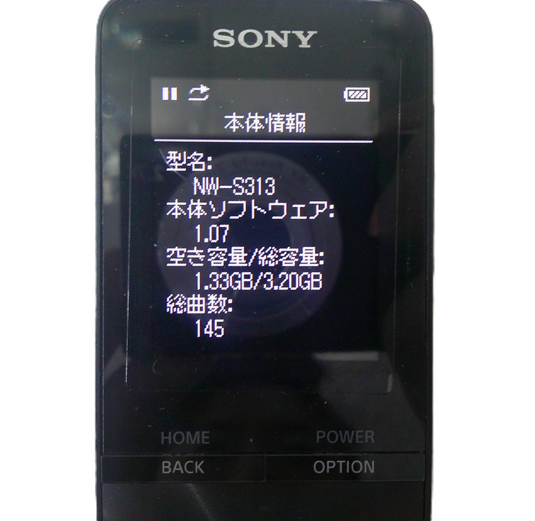 Sony Digital Audio Player 4Gb Nw-S313