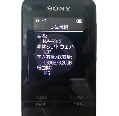 Sony Digital Audio Player 4Gb Nw-S313